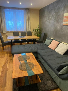 Apartmán Orlické hory